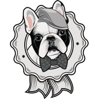 PET SHOP DOM PET logo, PET SHOP DOM PET contact details