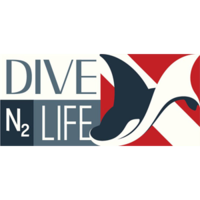 DiveN2Life logo, DiveN2Life contact details