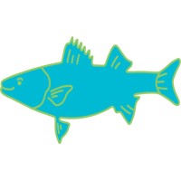 Saltwater Long Island Inc logo, Saltwater Long Island Inc contact details