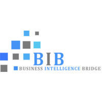 Business Intelligence Bridge logo, Business Intelligence Bridge contact details