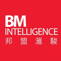 BM Intelligence Group logo, BM Intelligence Group contact details