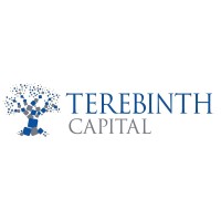 Terebinth Capital (Pty) Ltd logo, Terebinth Capital (Pty) Ltd contact details