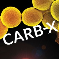 CARB-X logo, CARB-X contact details