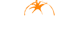 Off the Vine Catering logo, Off the Vine Catering contact details