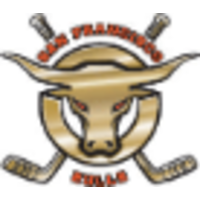 San Francisco Bulls Professional Hockey Team logo, San Francisco Bulls Professional Hockey Team contact details