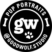 GoodWolf Studio logo, GoodWolf Studio contact details