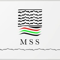 Medical Supplies and Services (MSS) logo, Medical Supplies and Services (MSS) contact details