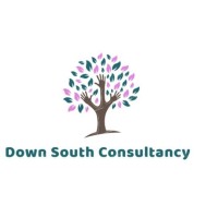 Down South Consultancy logo, Down South Consultancy contact details