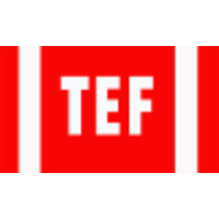 TEF INDIA logo, TEF INDIA contact details