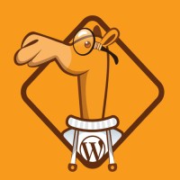 WP Camel logo, WP Camel contact details