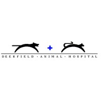 Deerfield Animal Hospital logo, Deerfield Animal Hospital contact details