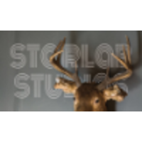 Starlab Studios logo, Starlab Studios contact details