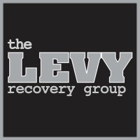 The Levy Recovery Group logo, The Levy Recovery Group contact details