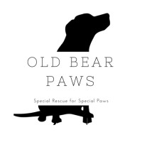 Old Bear Paws logo, Old Bear Paws contact details