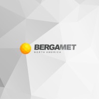 BergaMet NA logo, BergaMet NA contact details