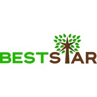 BestStar Holding logo, BestStar Holding contact details