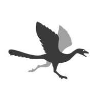 Archaeopteryx logo, Archaeopteryx contact details