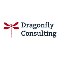 Dragonfly Consulting LLC logo, Dragonfly Consulting LLC contact details