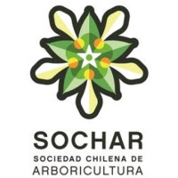 SOCHAR logo, SOCHAR contact details