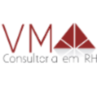 VM CONSULTORIA - VANESSA ORFÃO logo, VM CONSULTORIA - VANESSA ORFÃO contact details