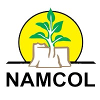 NAMCOL logo, NAMCOL contact details