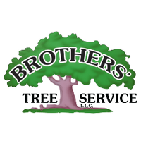 Brothers' Tree Service LLC logo, Brothers' Tree Service LLC contact details