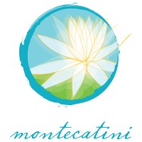 Montecatini logo, Montecatini contact details