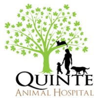 Quinte Animal Hospital logo, Quinte Animal Hospital contact details