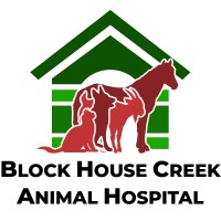 BLOCK HOUSE CREEK ANIMAL HOSPITAL, P.C. logo, BLOCK HOUSE CREEK ANIMAL HOSPITAL, P.C. contact details