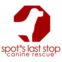 Spot's Last Stop Canine Rescue logo, Spot's Last Stop Canine Rescue contact details