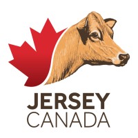 JERSEY CANADA logo, JERSEY CANADA contact details