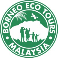 Borneo Eco Tours logo, Borneo Eco Tours contact details