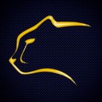 Cheetah Racing logo, Cheetah Racing contact details