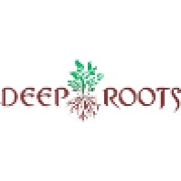 Deeproot Technologies Pvt Ltd logo, Deeproot Technologies Pvt Ltd contact details