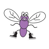 ShoeFly Boulder logo, ShoeFly Boulder contact details