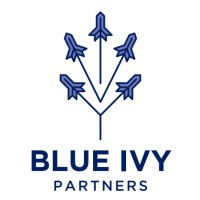 Blue Ivy Partners logo, Blue Ivy Partners contact details