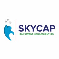 Skycap International Management Consultancy logo, Skycap International Management Consultancy contact details