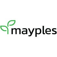 Mayples logo, Mayples contact details