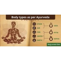 Ayurveda Doctors logo, Ayurveda Doctors contact details