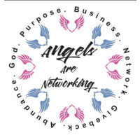 Angels Are Networking, LLC logo, Angels Are Networking, LLC contact details