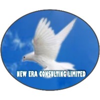 New Era Consulting logo, New Era Consulting contact details