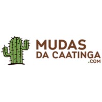 Mudas da Caatinga Negócios e Consultoria Ambiental logo, Mudas da Caatinga Negócios e Consultoria Ambiental contact details