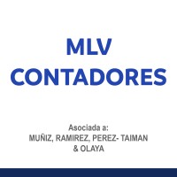 MLV Contadores logo, MLV Contadores contact details