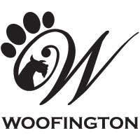 Woofington logo, Woofington contact details