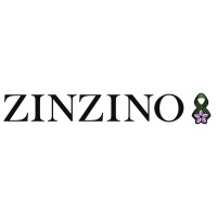 ZINZINO.RS logo, ZINZINO.RS contact details