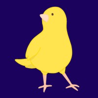 Bid Canary logo, Bid Canary contact details