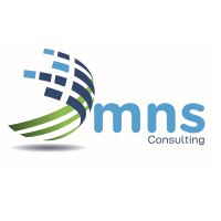 MNS Consulting Group logo, MNS Consulting Group contact details