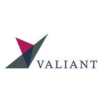 Valiant Capital Partners logo, Valiant Capital Partners contact details