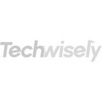 TechWisely Ltd logo, TechWisely Ltd contact details