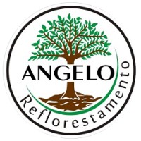 Angelo Reflorestamento logo, Angelo Reflorestamento contact details